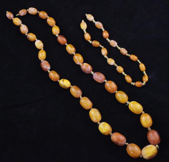 A single strand graduated amber bead necklace, 28in.